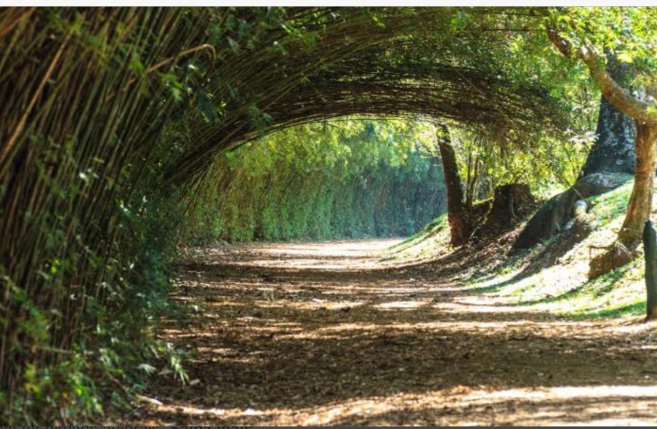 Flat Granja Viana - Espaco E Conforto Daire Cotia  Dış mekan fotoğraf